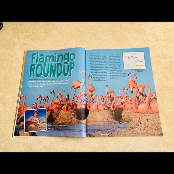 Ranger Rick Magazines Bundle - Picture 12 of 16